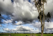 RMC：因球场周(zhōu)围施工，法国杯决赛可能不(bù)会在法兰西大(dà)球场进行