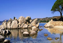 巴(bā)萨主席拉波尔塔：三冠(guān)王赛季與(yǔ)诺坎普(pǔ)的未(wèi)来奇迹